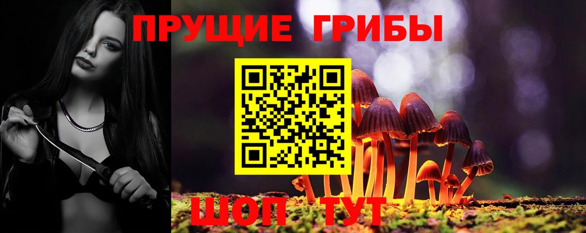 Псилоцибиновые грибы Cubensis  Псилоцибиновые грибы прущие грибы  наркота  Красноармейск  Вход с VPN 